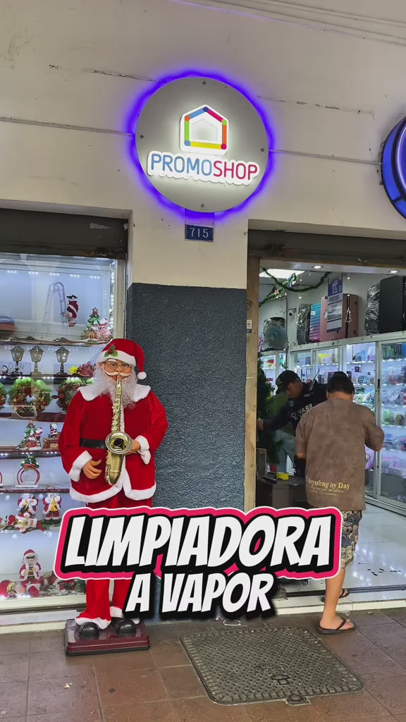 LIMPIADOR A VAPOR PORTATIL